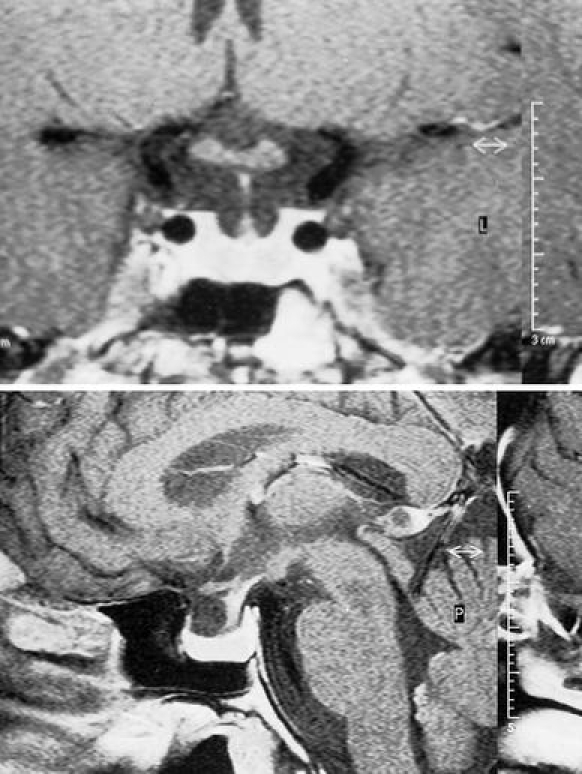 Fig. 8