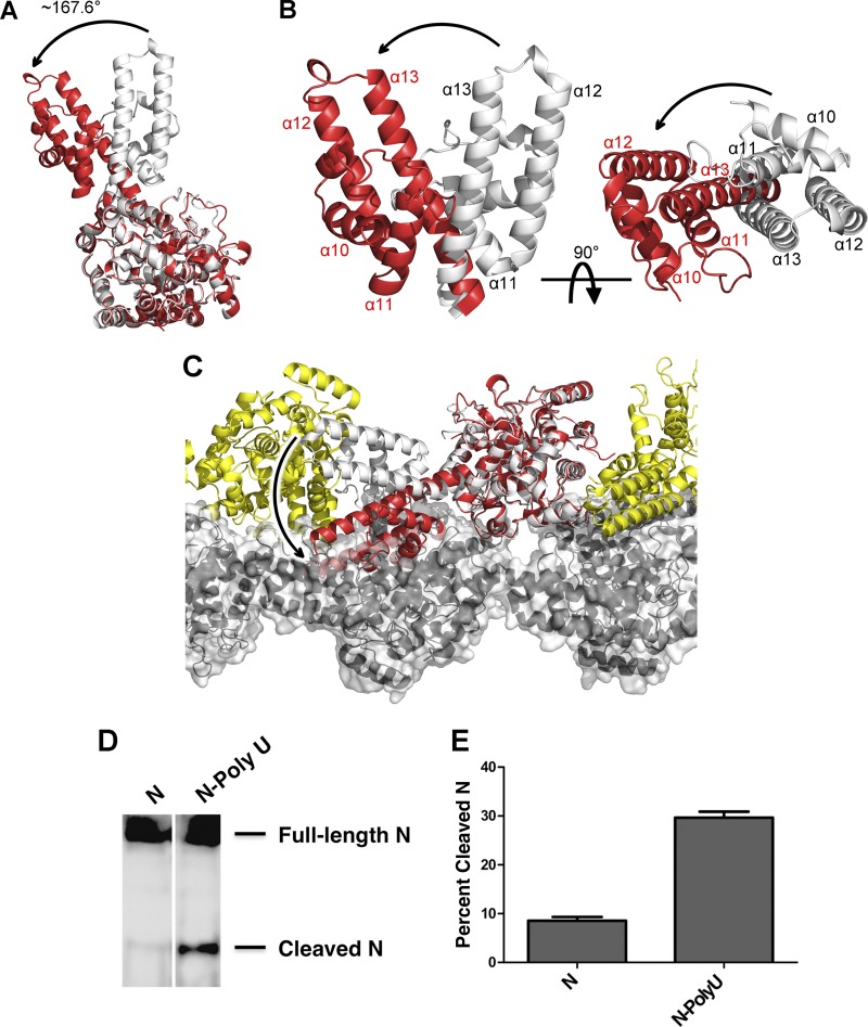 Fig 4