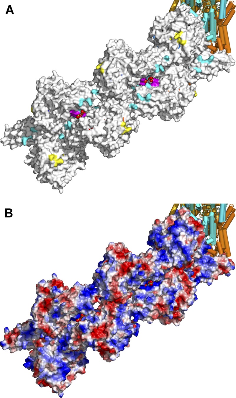 Fig 3