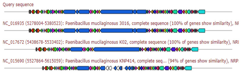 Figure 5