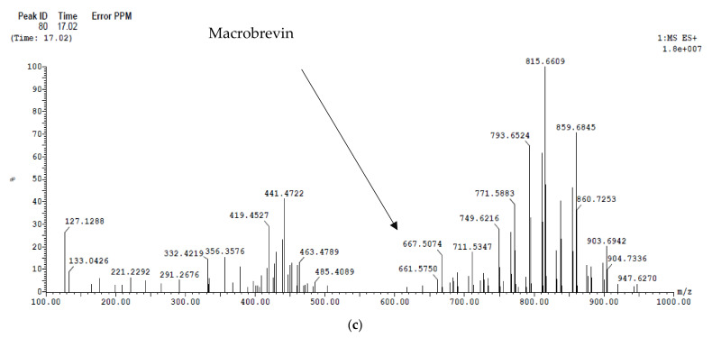 Figure 10