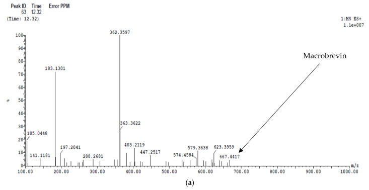 Figure 12