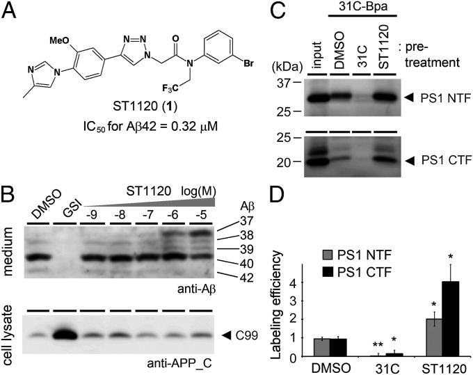 Fig. 1.