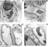 Fig 7