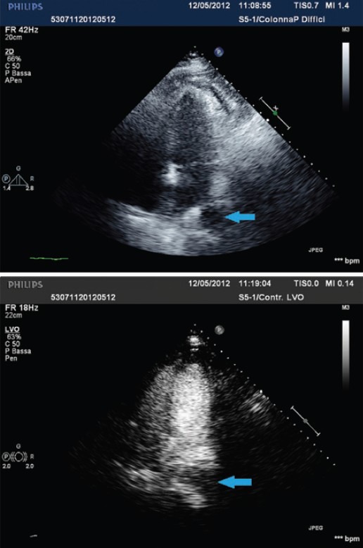 Figure 5