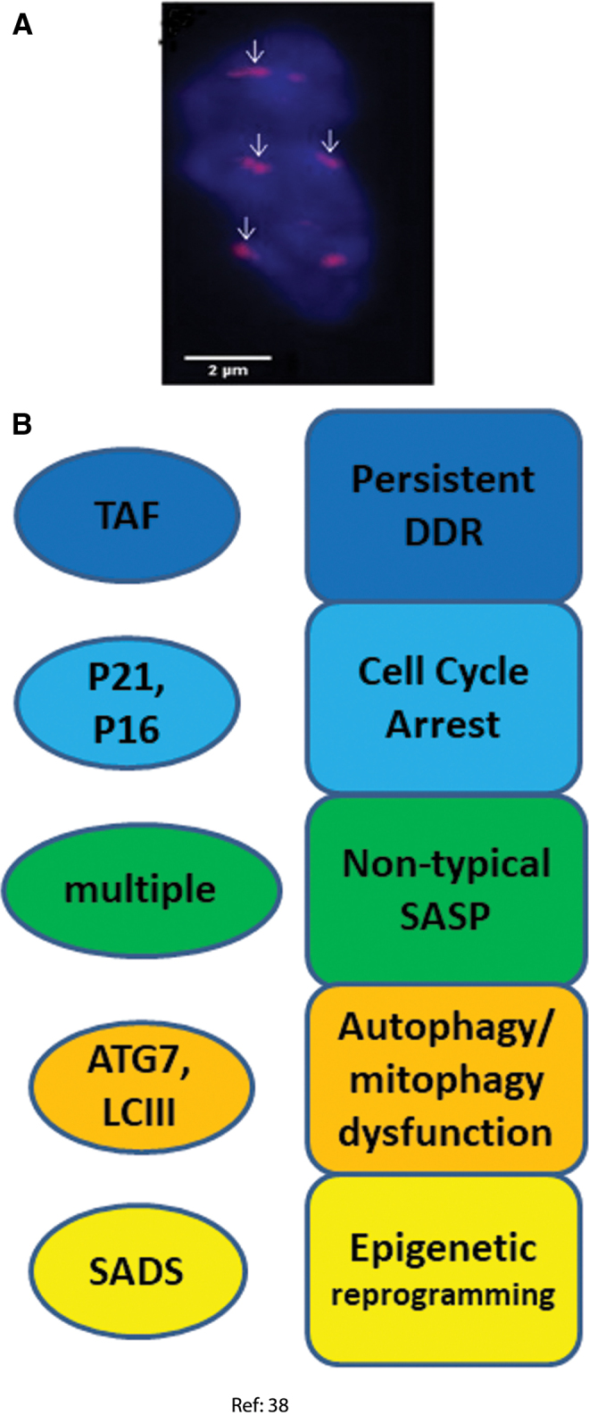 FIG. 5.