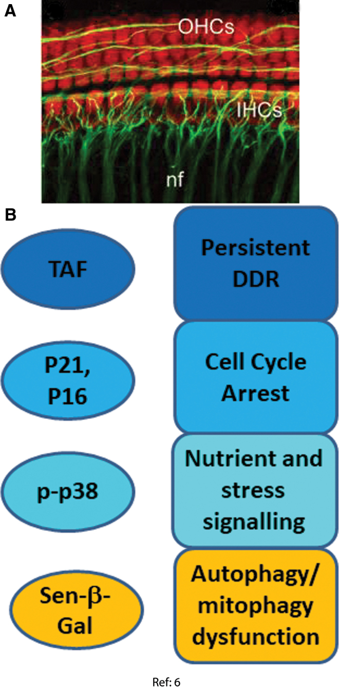 FIG. 6.