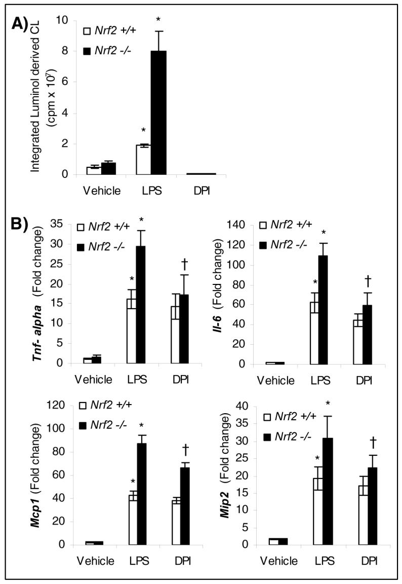 Fig.1