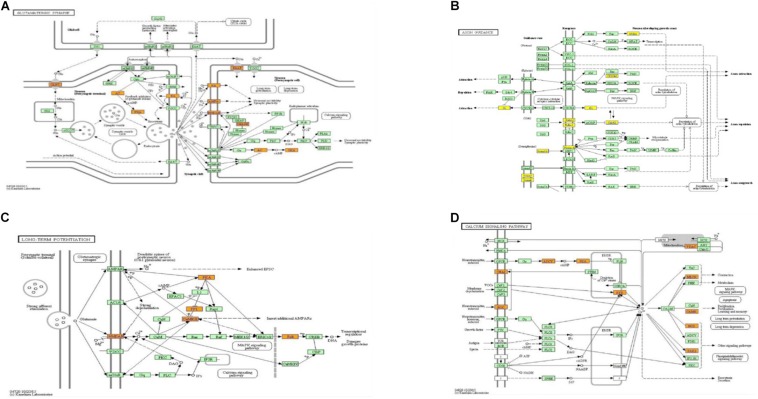 FIGURE 4