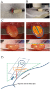 Figure 3.