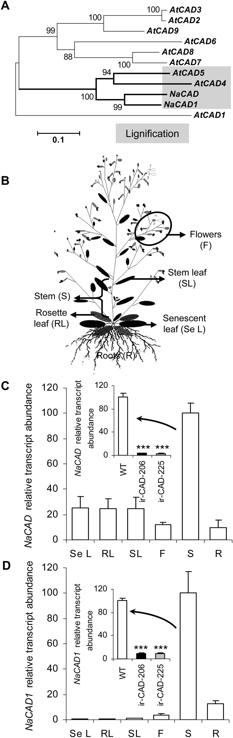 Figure 1.