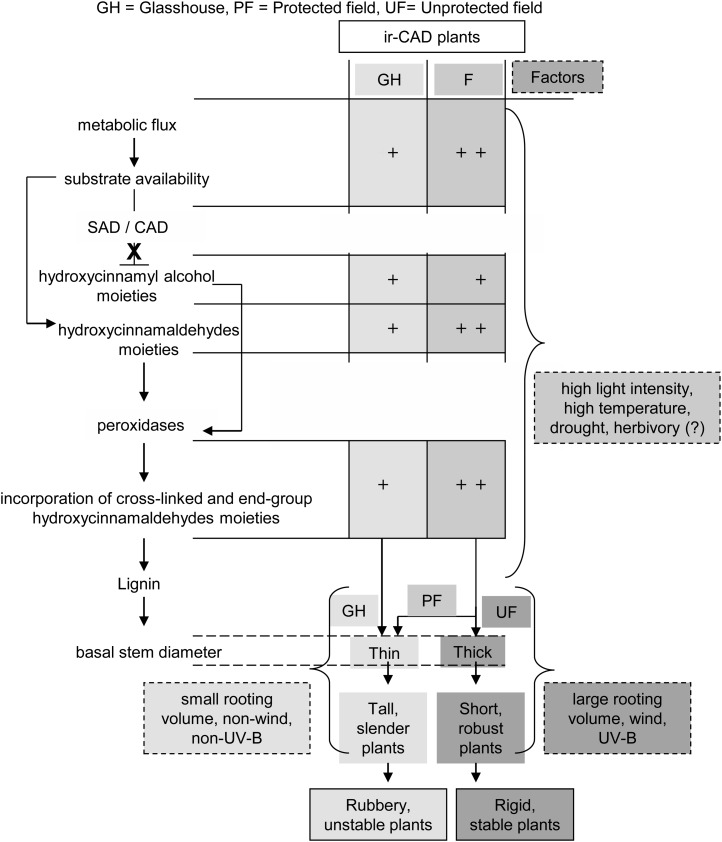 Figure 10.