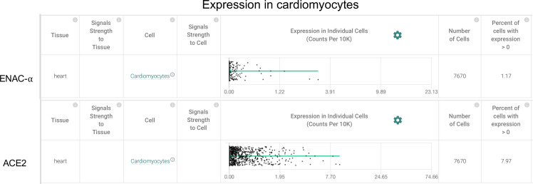 Figure 2—figure supplement 1.