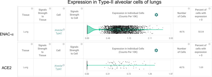 Figure 2—figure supplement 2.