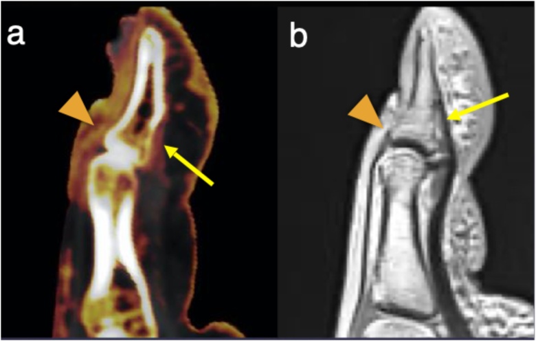 Fig. 5