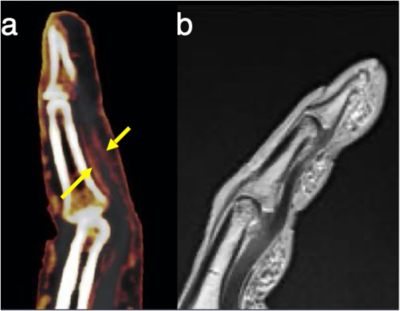 Fig. 6