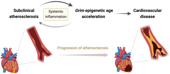 Graphical Abstract