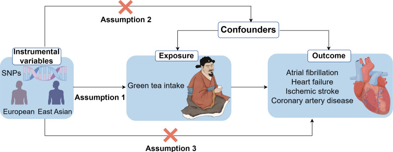Figure 1.
