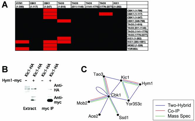 Figure 6.