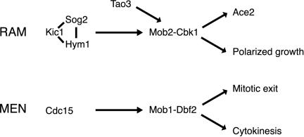 Figure 10.