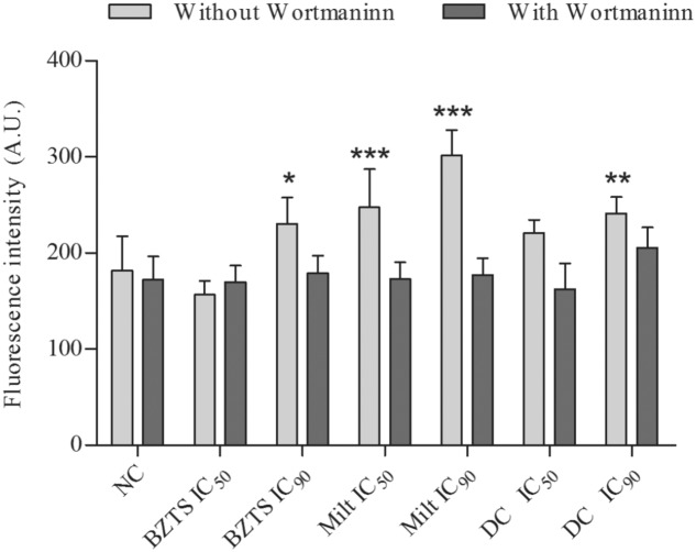 FIGURE 10