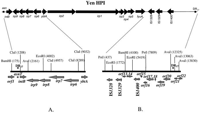 FIG. 1