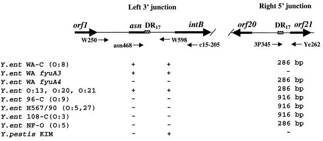 FIG. 5