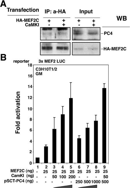 FIG. 9.