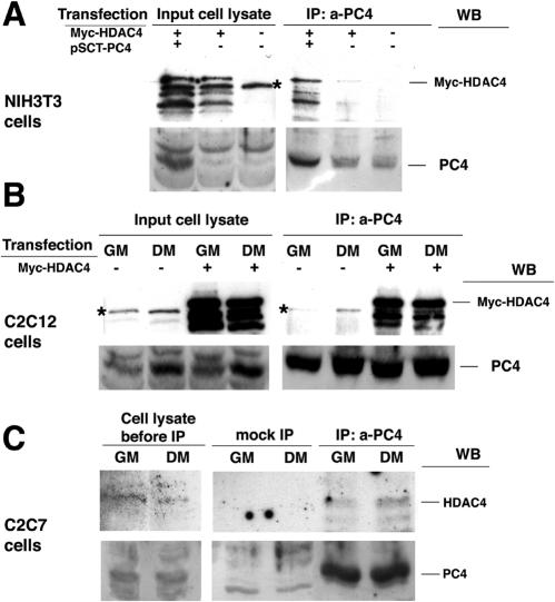 FIG. 11.