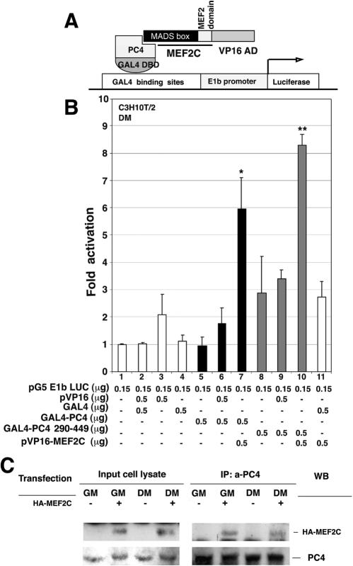 FIG. 6.