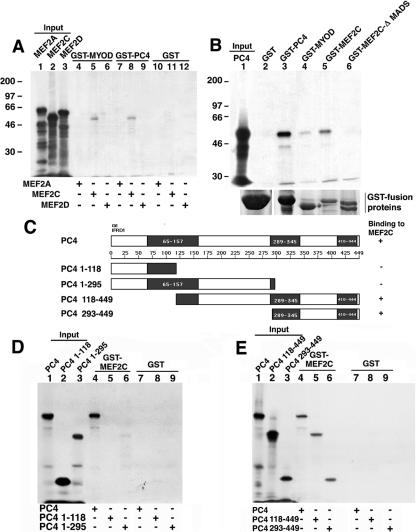 FIG. 5.