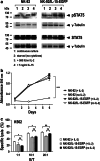 Fig. 2