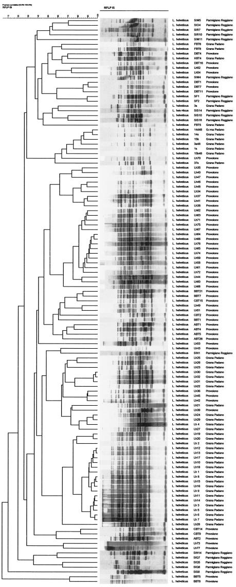 FIG.1.