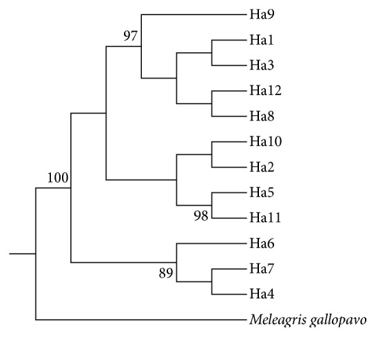 Figure 2