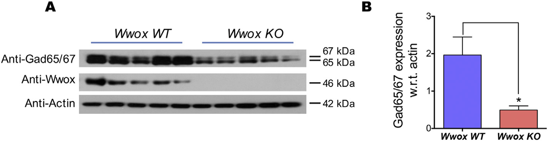 Fig. 5. |