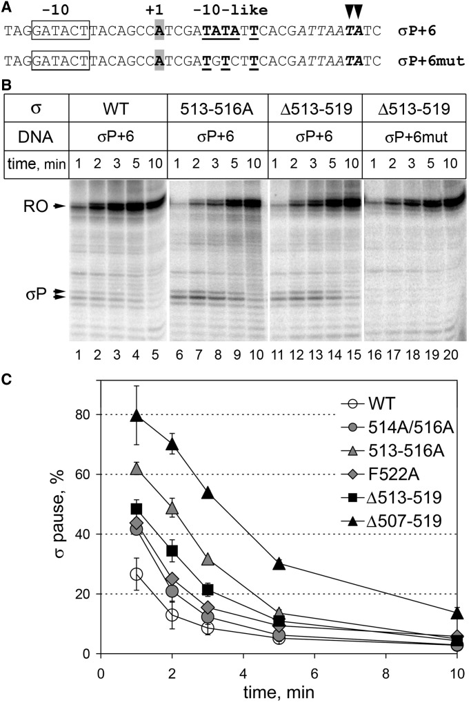 Figure 5.