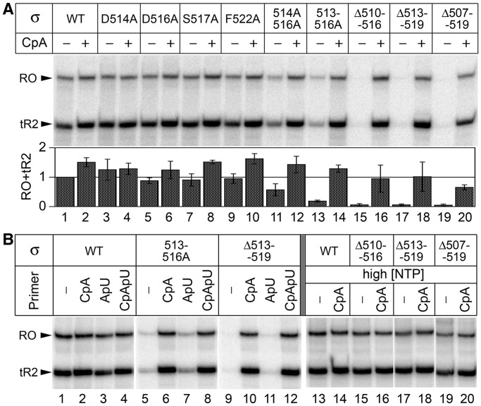 Figure 2.