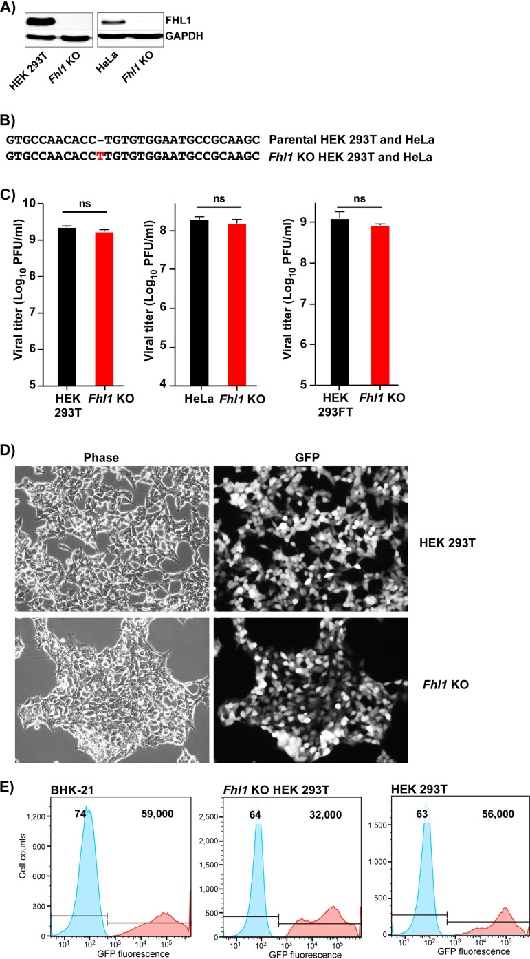 FIG 3