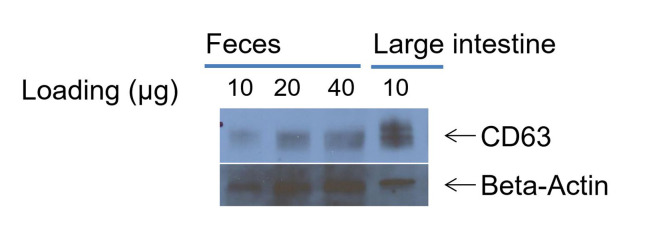 Figure 10.