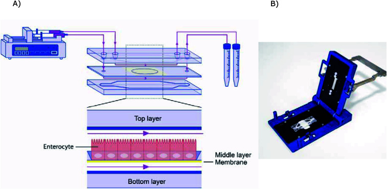 Fig. 2