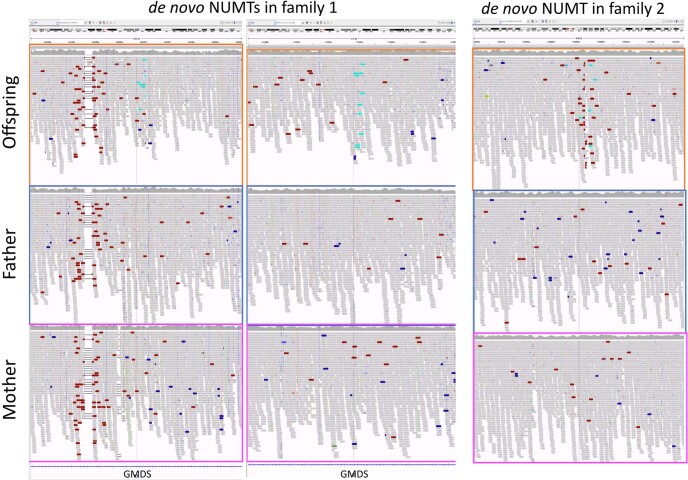 Extended Data Fig. 4