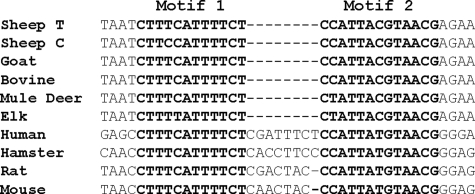 FIGURE 1.