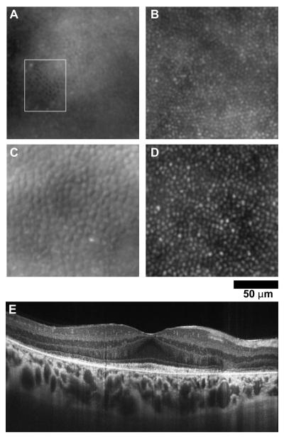 Fig. XX.3