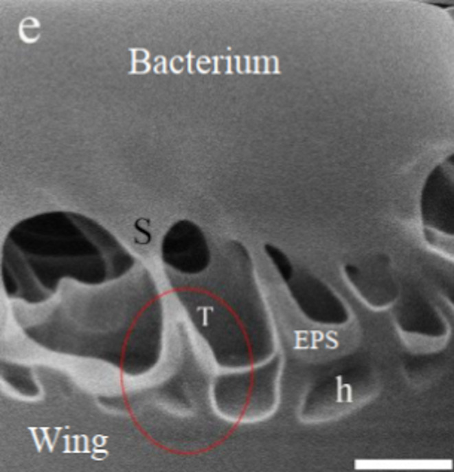 Figure 16