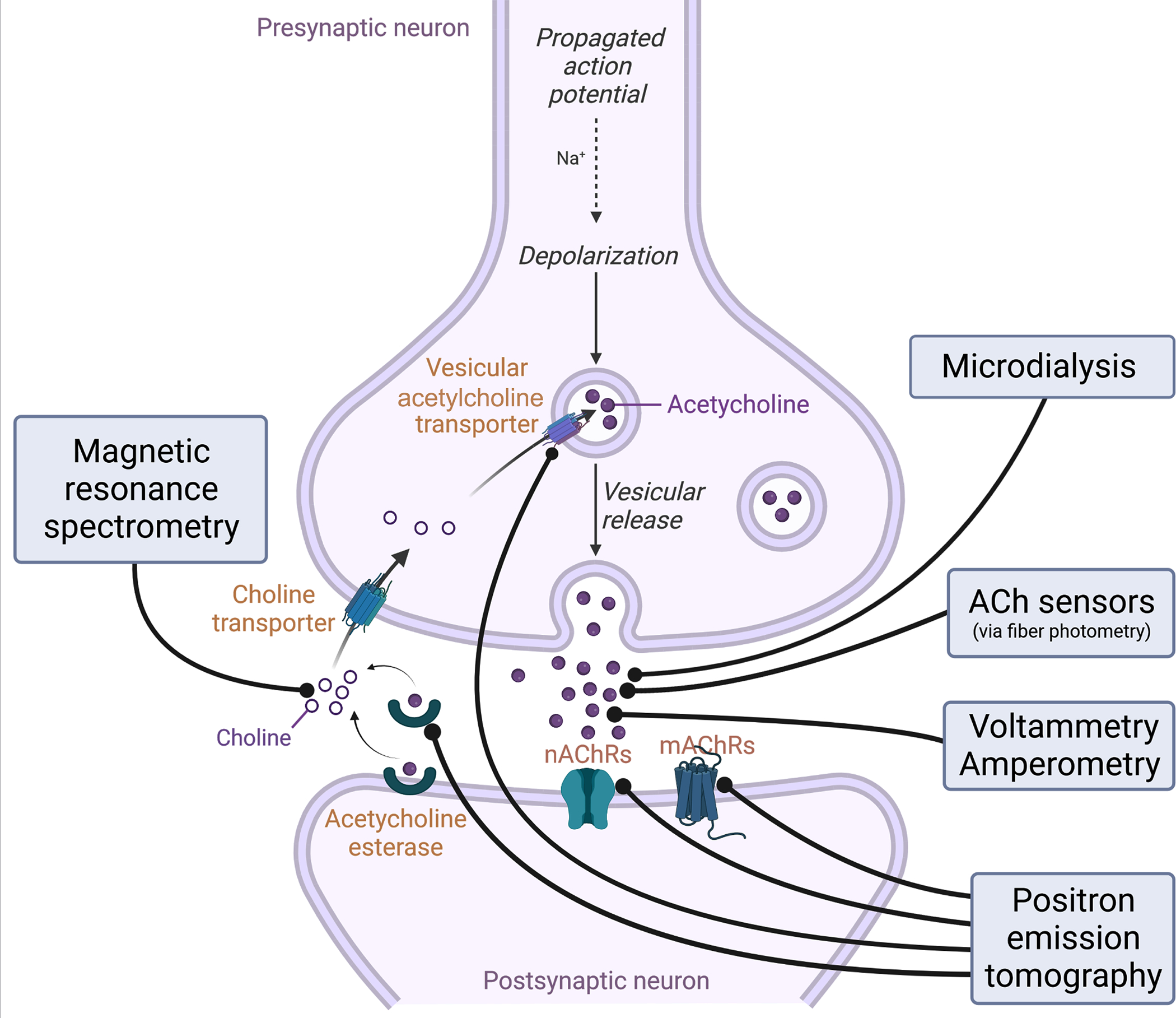 Figure 1: