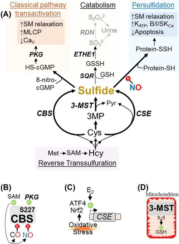 Figure 3.