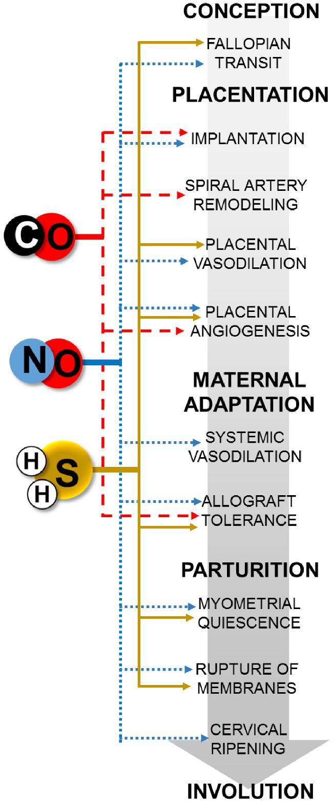 Figure 8.