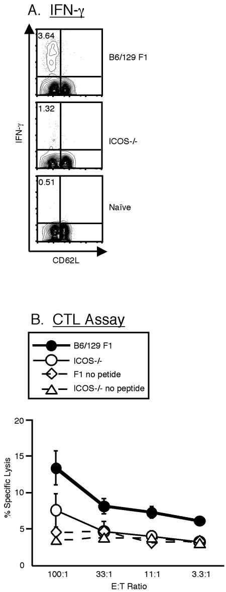 FIG. 5.