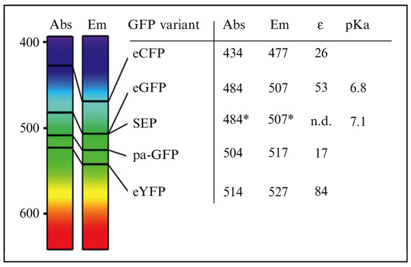 graphic file with name ukmss-47310-f0006.jpg