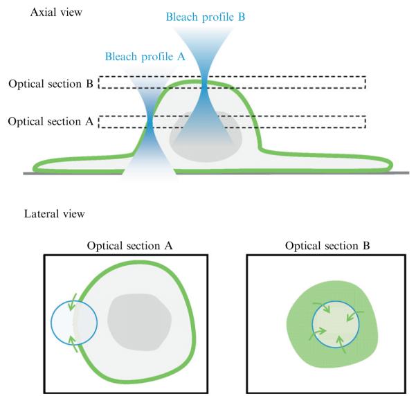 Figure 6.3